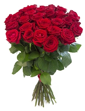 Дешевые цветы иркутск купить хмельницкий доставка цветов